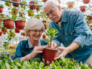 Hobbies and Leisure Activities for Seniors: A Guide to Enjoying Your Golden Years