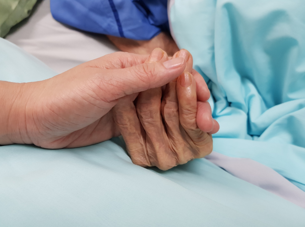 Palliative Care and End-of-Life Decision-Making for Seniors: A Compassionate Guide